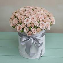 Цветочная композиция из Розы в шляпной коробке #REPLACE_PRED# Кукуштан