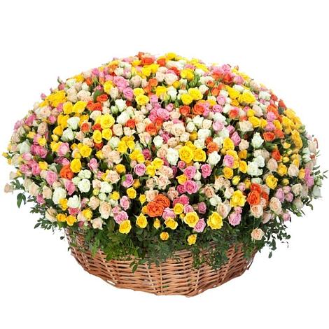 Премиум букет из: Розы в Кукуштан