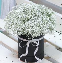 Цветочная композиция из Гипсофила в шляпной коробке в Кукуштан