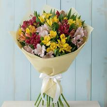 Букет цветов из:  Альстромерии #REPLACE_PRED# Кукуштан