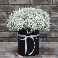 Цветочная композиция из Гипсофила в шляпной коробке в Кукуштан